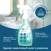 304.0,55 Биосан М Моющее средство - АНТИНАЛЕТ, 550мл, EVOLITE HoReCa