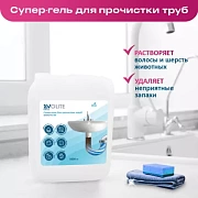 306. Биомол КС-гель для прочистки труб 5л EVOLITE HoReCa