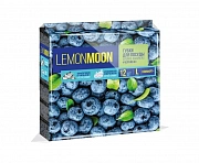 L004 Lemon Moon Черника Губка для посуды 96*64*33 12шт/уп (поролон)